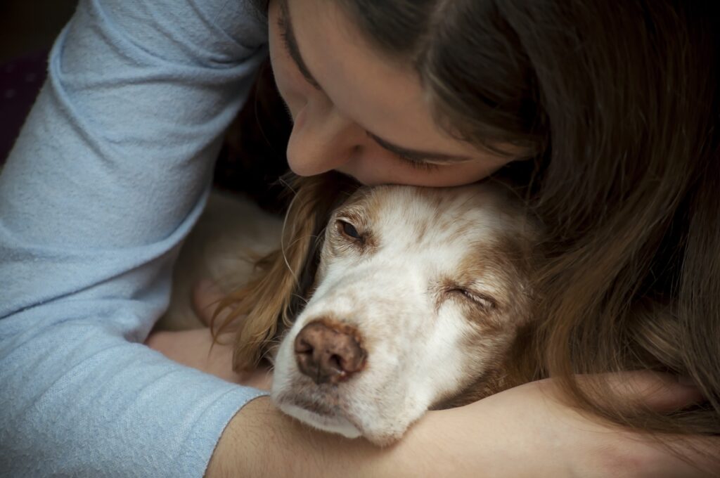 Euthanasia for your pet: process, options, cremation and memorials