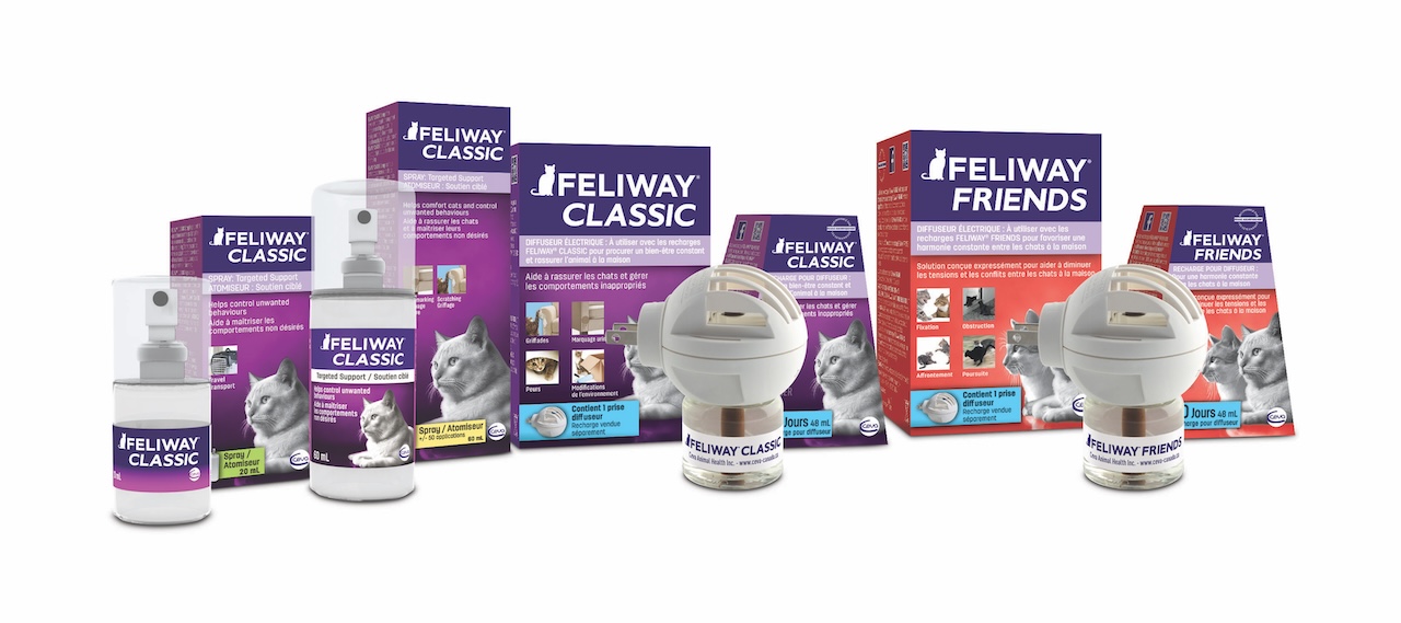 Curated visual reference: Feliway For Stressed Cats Reduce Anxiety Naturally Photo Inspiration