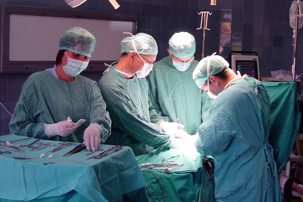 dog neutering surgery