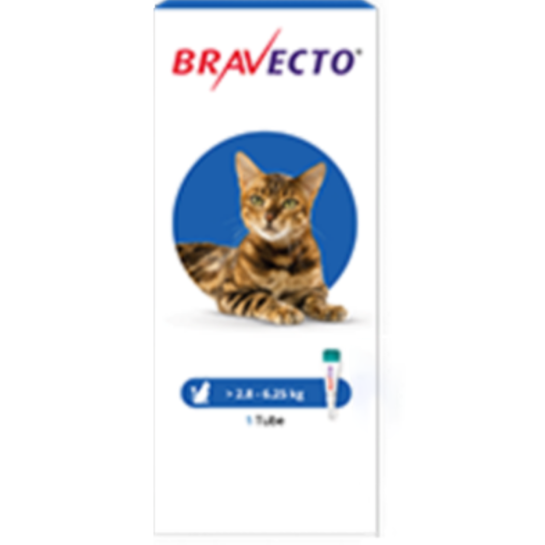 Bravecto® : Protection 3 mois