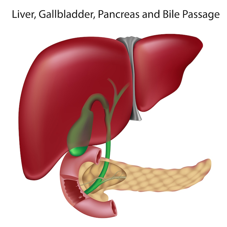 Exocrine Pancreatic Insufficiency 