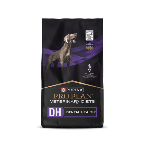 DH Dental Health