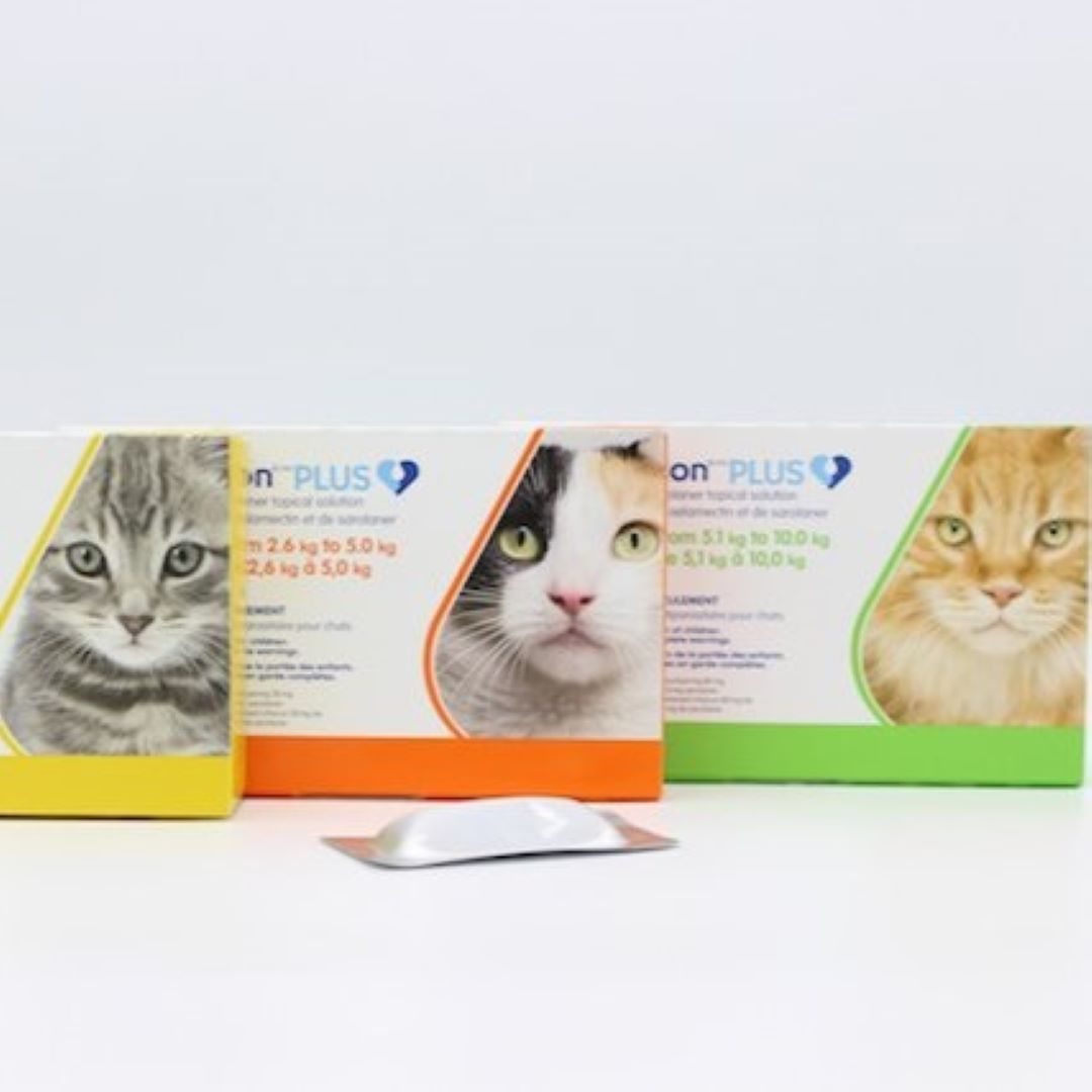 Revolution® PLUS: Traitement antiparasitaire topique pour chats