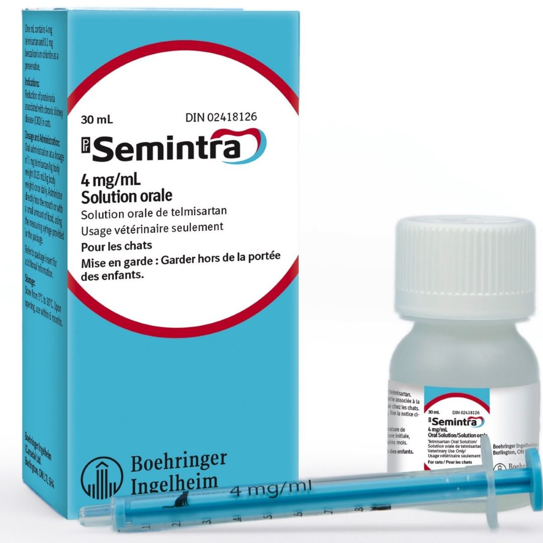 Reduction of feline proteinuria with Semintra®