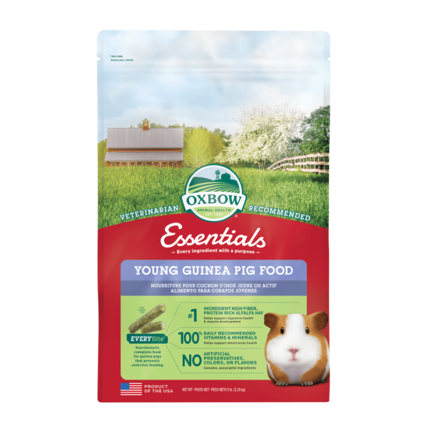 Nourriture pour jeunes cochons d’Inde Essentials