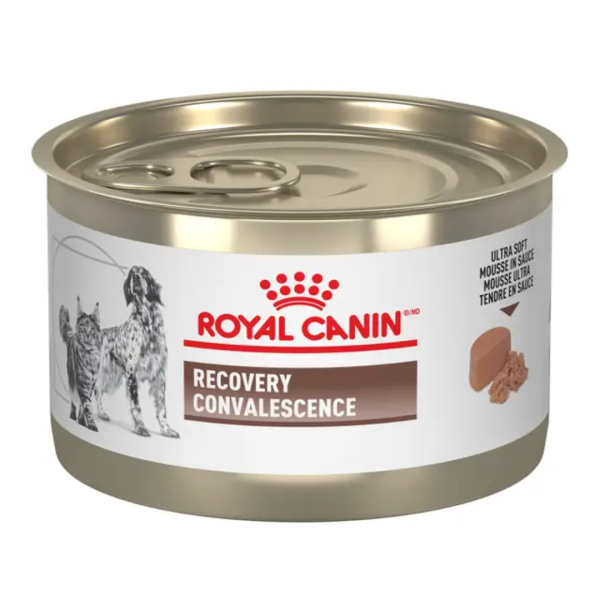 Recovery