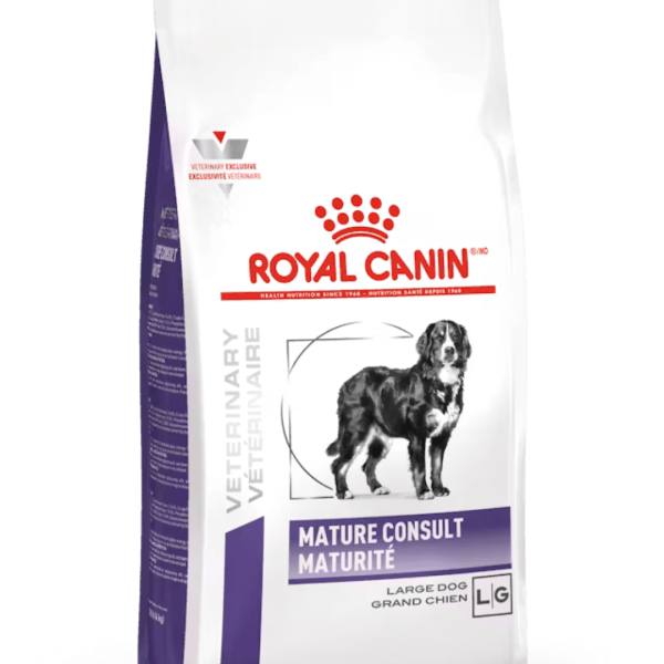 Mature Consult Large Dog