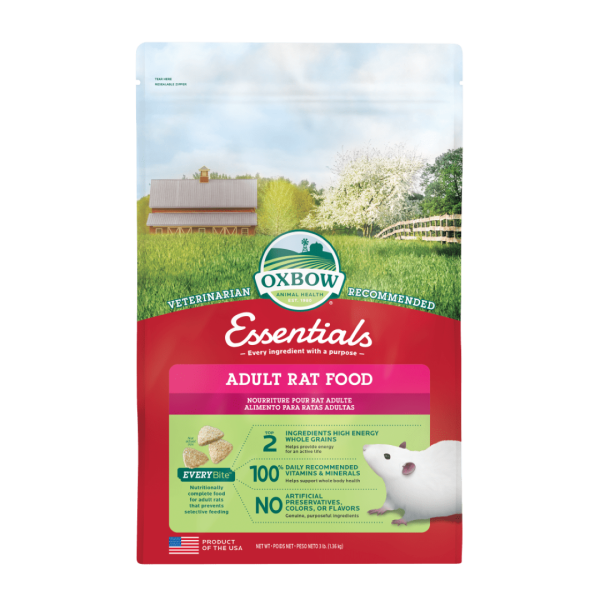 Nourriture pour rats adultes
