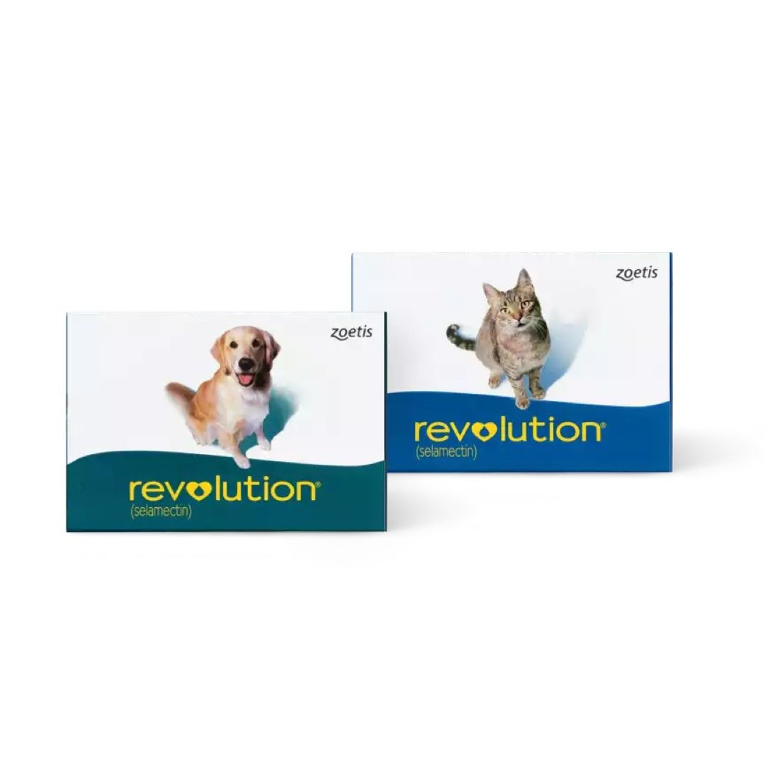 Revolution®: Traitement antiparasitaire pour chiens et chats