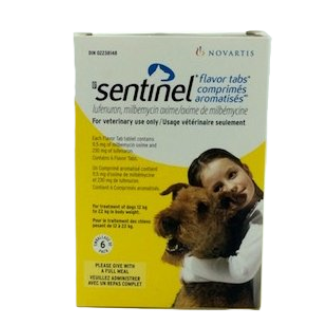 Protection antiparasitaire canine avec Sentinel®