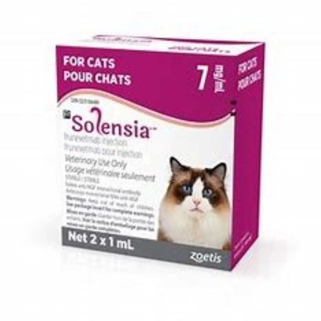 Feline osteoarthritis treatment with Solensia®