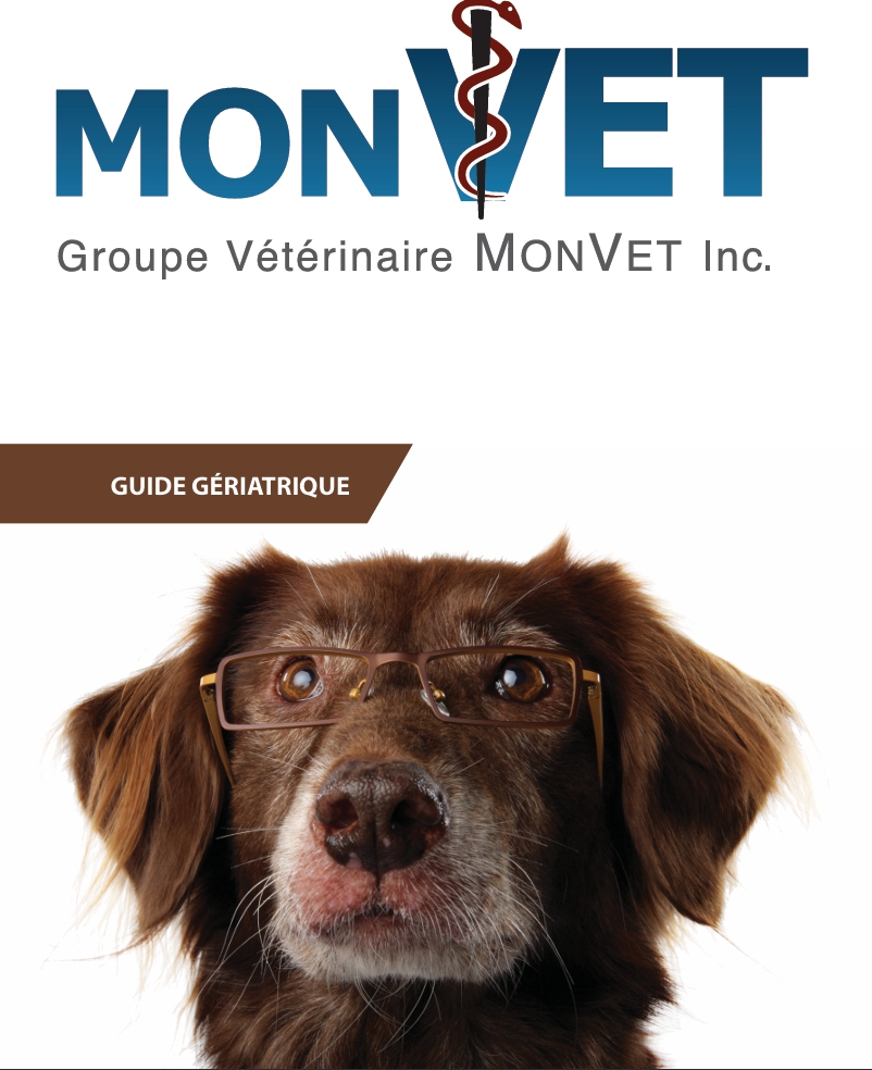 guide gériatrique canin